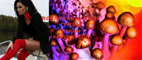 сатива Абдулино