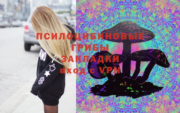 сатива Абинск
