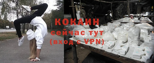 таблы Козловка
