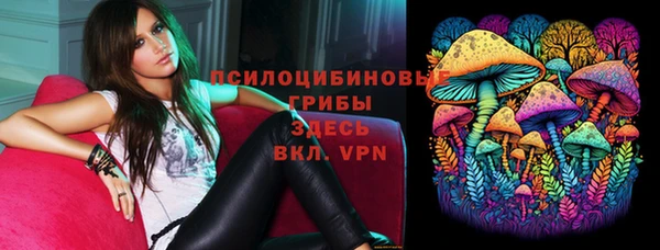 сатива Абдулино