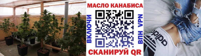 как найти закладки  Вышний Волочёк  ТГК концентрат 